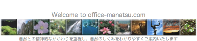 office-manatsu