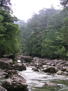 荒川橋/荒川渓流