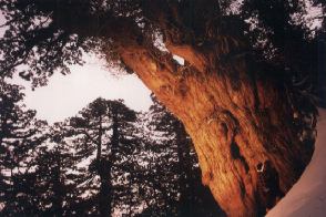 三好和義(カメラマン)さんとのスチール撮影