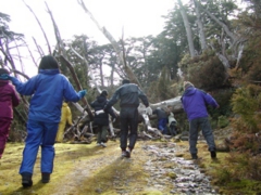 05舞踏ワークショップ2