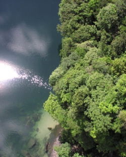 プライベートツアー