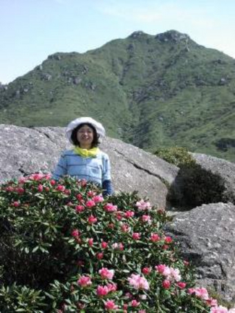 ヤクシマシャクナゲ