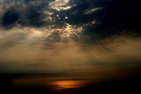 古川さんのone photo