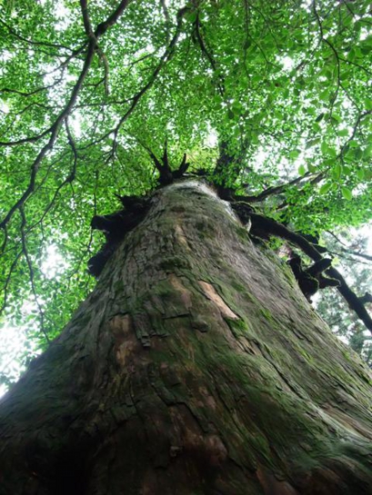 かねいさんのone photo