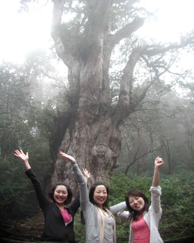 2007年 good smile 大賞 受賞者