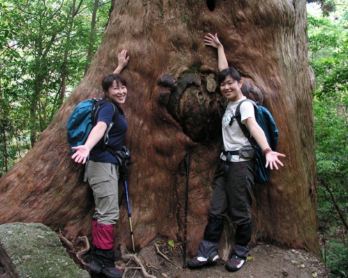 2005年 good smile 大賞 受賞者