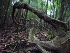 08 舞踏ワークショップ9