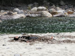 08 舞踏ワークショップ15