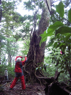 07 舞踏ワークショップ4