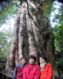 ヤクスギランド1